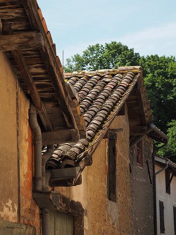 20220614_X6140836_EM1II