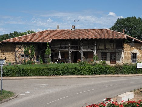 20220612_X6120786_EM1II