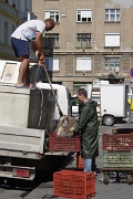 Budapest, fish market delivery, Hungary, Rákóczi Market Hall, Rákóczi Téri Vásárcsarnok : Budapest, fish market delivery, Hungary, Rákóczi Market Hall, Rákóczi Téri Vásárcsarnok
