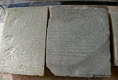 20230929_X9298101_EM1II_DxO-hdrp