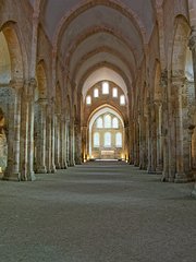 20230929_X9298111_EM1II_DxO-hdrp