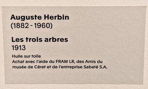 20240920_PXL143730178_DxODP8real_Pixel7a-JEB