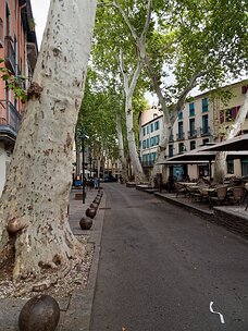 20240920_X9202823_EM1II_DxO-DP8-real