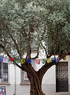 20240920_X9202832_EM1II_DxO-DP8-real