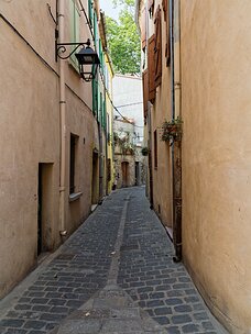 20240920_X9202838_EM1II_DxO-DP8-real