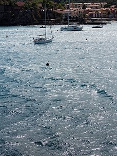 20240918_X9182320_EM1II_DxO-DP8-real