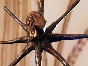 Denmark, Roskilde, Roskilde Cathedral : Denmark, Roskilde, Roskilde Cathedral