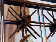 Denmark, Roskilde, Roskilde Cathedral : Denmark, Roskilde, Roskilde Cathedral