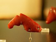 amber animal sculpture, Copenhagen, Danish National Museum, Denmark : amber animal sculpture, Copenhagen, Danish National Museum, Denmark