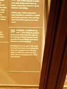 Copenhagen, Danish National Museum, Denmark : Copenhagen, Danish National Museum, Denmark