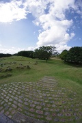 Denmark, Lindholm Høje, Viking Burial site : Denmark, Lindholm Høje, Viking Burial site