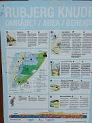 Denmark, Rubjerg Knude lighthouse : Denmark, Rubjerg Knude lighthouse