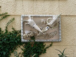 20240923_X9233058_EM1II_DxO-DP8-real