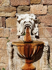 20240917_X9172168_EM1II_DxO-DP8-real