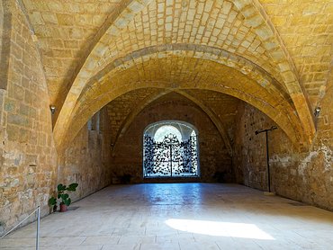 20240917_X9172170_EM1II_DxO-DP8-real