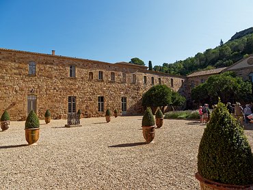 20240917_X9172172_EM1II_DxO-DP8-real