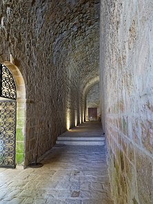 20240917_X9172174_EM1II_DxO-DP8-real