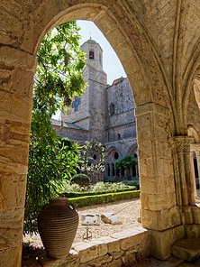 20240917_X9172176_EM1II_DxO-DP8-real