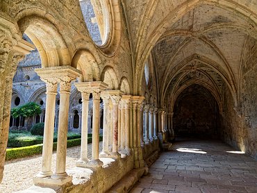 20240917_X9172179_EM1II_DxO-DP8-real