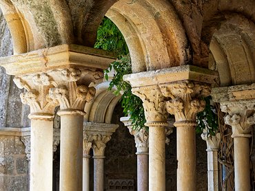 20240917_X9172180_EM1II_DxO-DP8-real