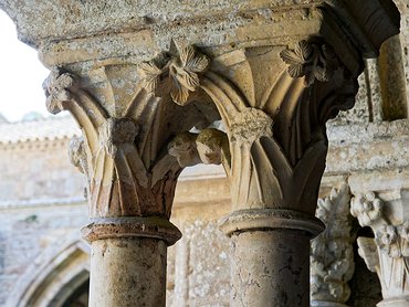 20240917_X9172181_EM1II_DxO-DP8-real