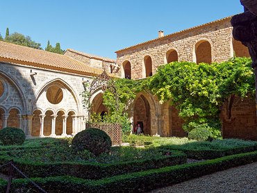 20240917_X9172182_EM1II_DxO-DP8-real