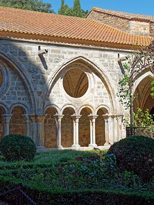 20240917_X9172183_EM1II_DxO-DP8-real