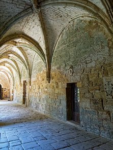 20240917_X9172185_EM1II_DxO-DP8-real