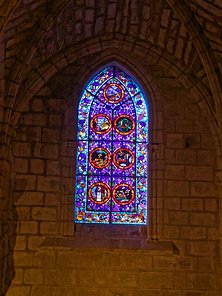 20240917_X9172188_EM1II_DxO-DP8-real