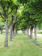 Antigny, France, main square : Antigny, France, main square