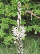 Civaux, France : Civaux, France