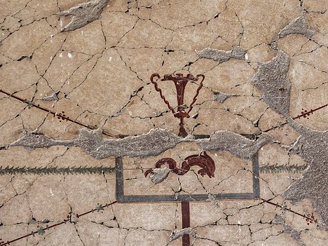 20240616_X6169167_EM1II_DxO-HDRrealDP7XD