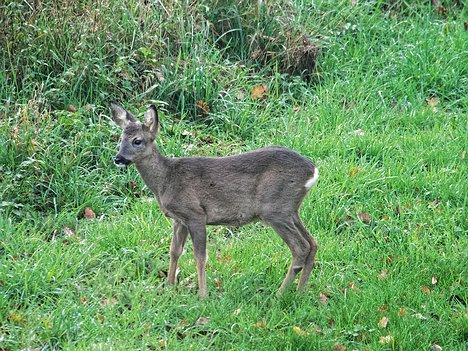 20221109_XB093804_EM1II_DxO-hda-p