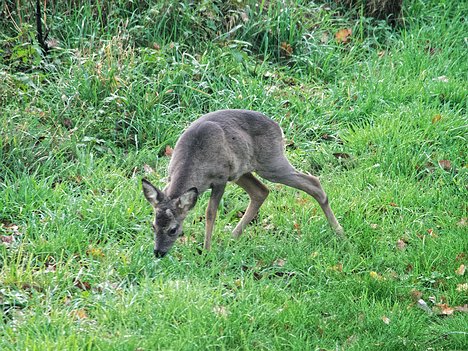 20221109_XB093805_EM1II_DxO-hda-p