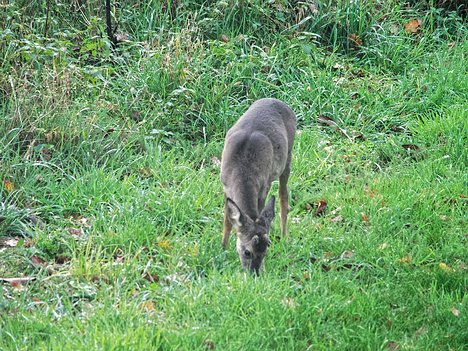 20221109_XB093806_EM1II_DxO-hda-p