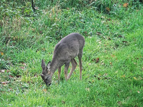 20221109_XB093807_EM1II_DxO-hda-p