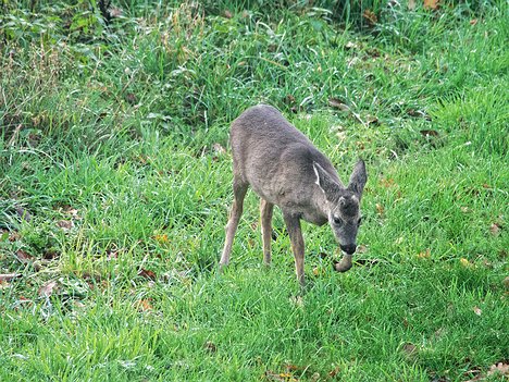 20221109_XB093808_EM1II_DxO-hda-p