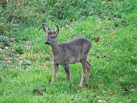 20221109_XB093810_EM1II_DxO-hda-p