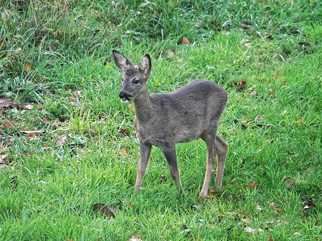 20221109_XB093811_EM1II_DxO-hda-p