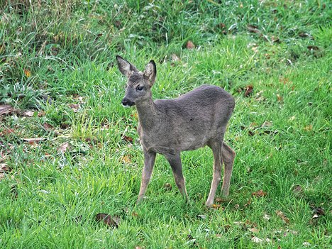 20221109_XB093812_EM1II_DxO-hda-p