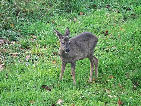 20221109_XB093813_EM1II_DxO-hda-p