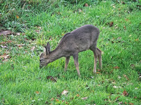 20221109_XB093814_EM1II_DxO-hda-p