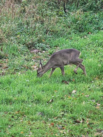 20221109_XB093815_EM1II_DxO-hda-p