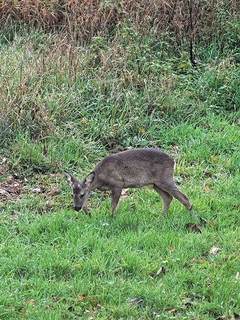 20221109_XB093816_EM1II_DxO-hda-p