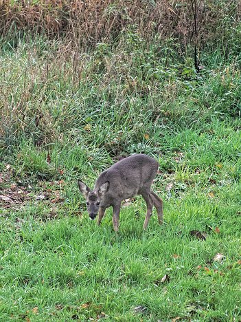 20221109_XB093817_EM1II_DxO-hda-p