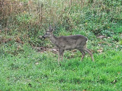 20221109_XB093818_EM1II_DxO-hda-p