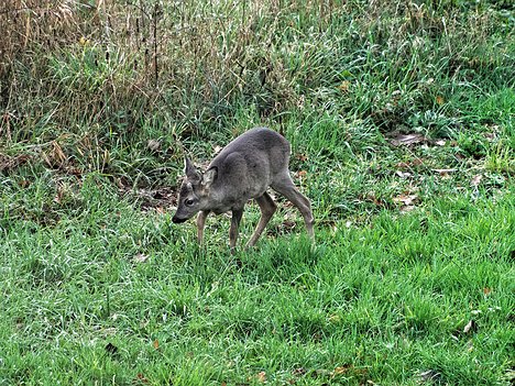 20221109_XB093819_EM1II_DxO-hda-p