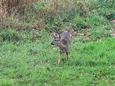 20221109_XB093820_EM1II_DxO-hda-p