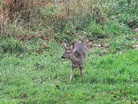 20221109_XB093821_EM1II_DxO-hda-p