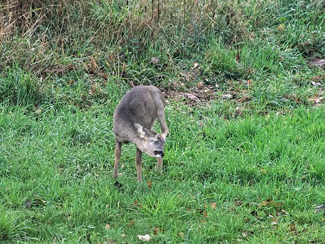 20221109_XB093822_EM1II_DxO-hda-p